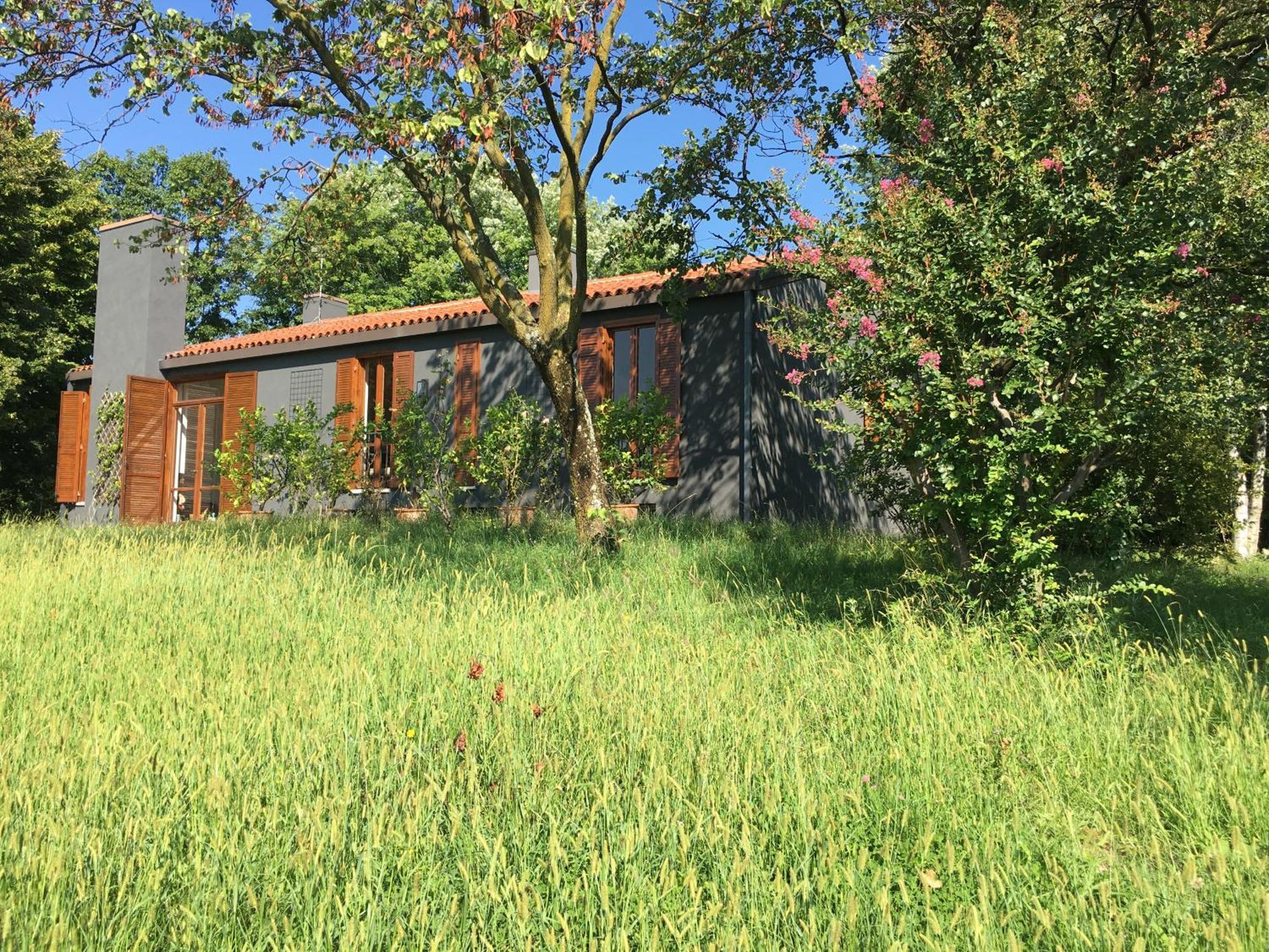 Villa Tugurio. La Tua Casa Immersa Nel Verde Grumolo Pedemonte Exterior foto