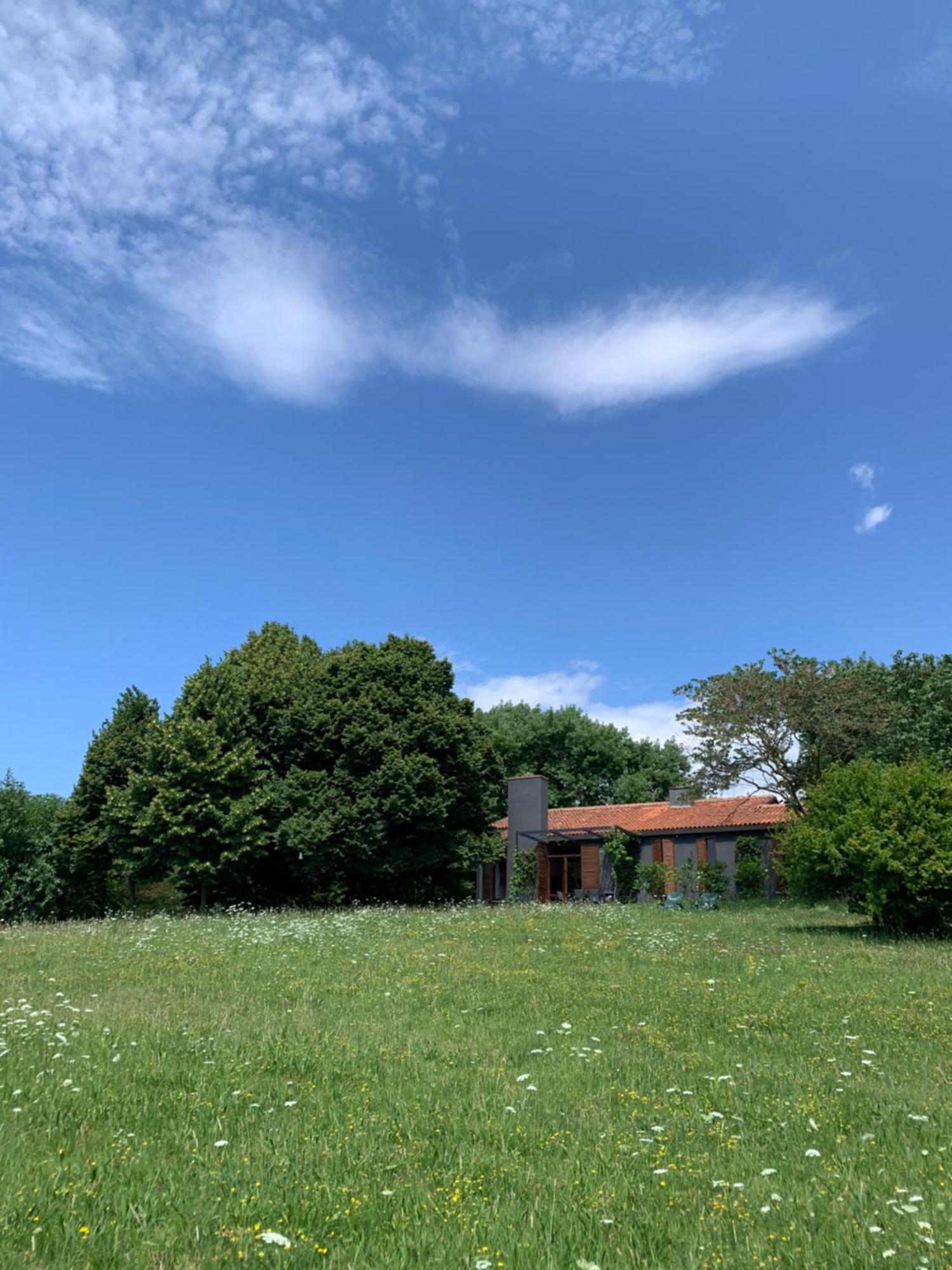 Villa Tugurio. La Tua Casa Immersa Nel Verde Grumolo Pedemonte Exterior foto